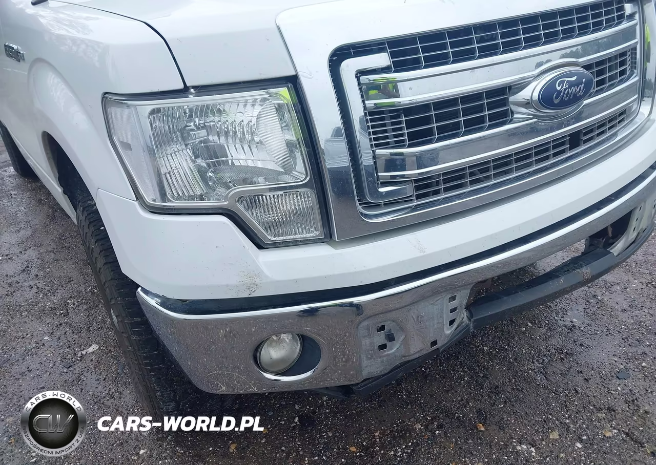 2013 Ford F-150 Xlt VIN:1FTFW1CFXDFA72177 - 19