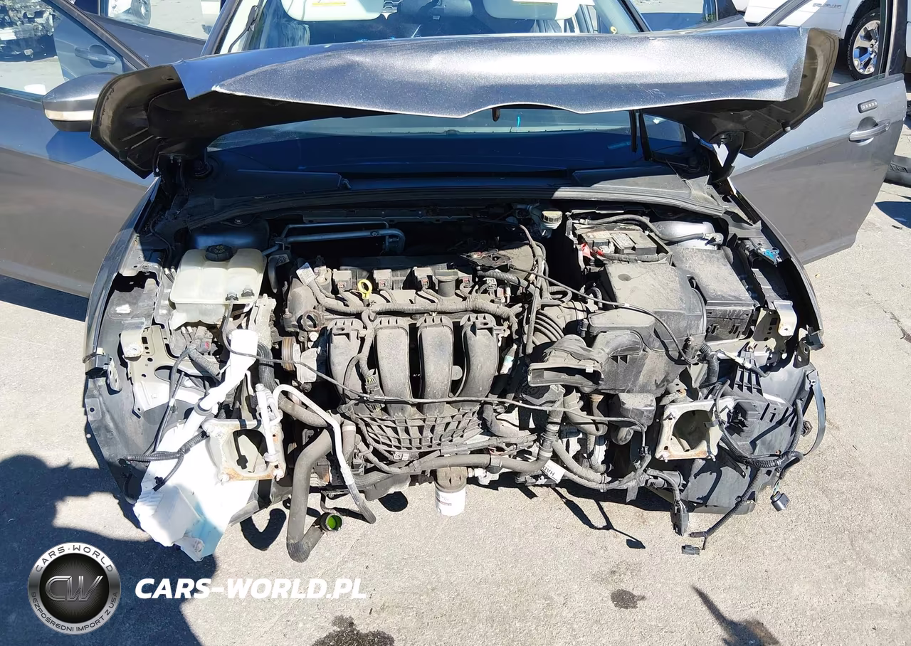 2014 Ford Focus Se VIN:1FADP3K27EL188573 - 10