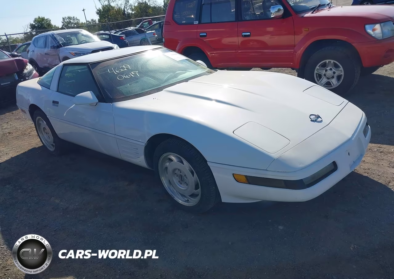 1992 Chevrolet Corvette VIN:1G1YY23P8N5102360 - 1