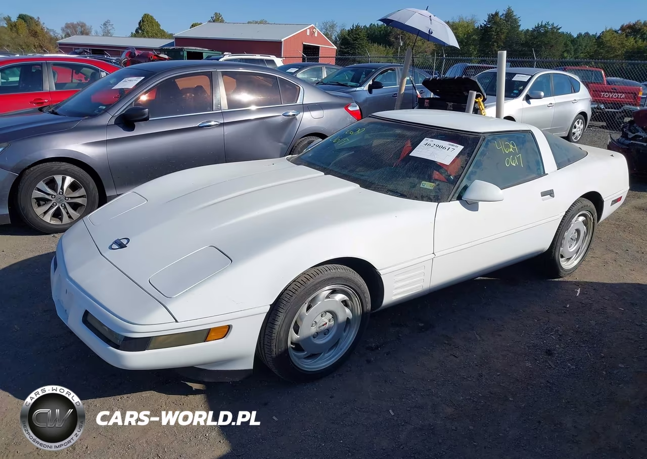 1992 Chevrolet Corvette VIN:1G1YY23P8N5102360 - 2