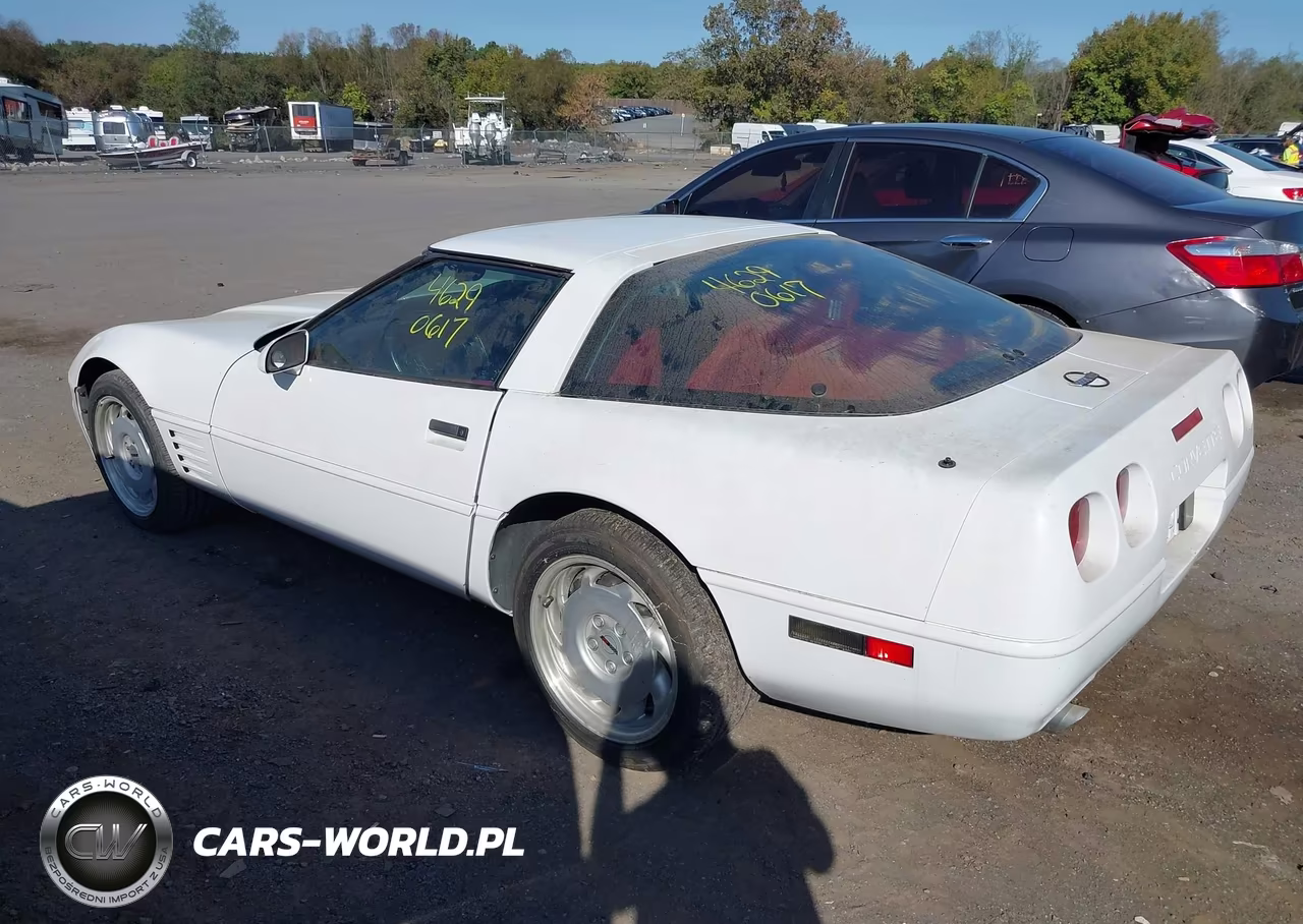1992 Chevrolet Corvette VIN:1G1YY23P8N5102360 - 3