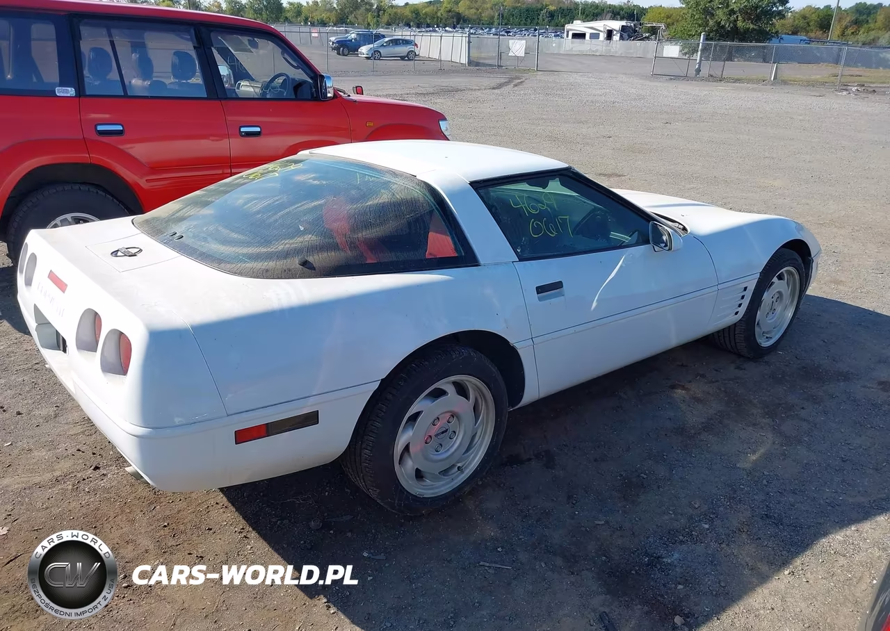 1992 Chevrolet Corvette VIN:1G1YY23P8N5102360 - 4