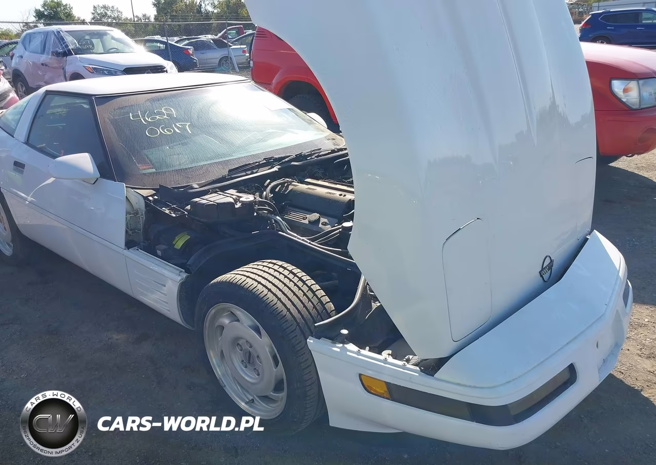 1992 Chevrolet Corvette VIN:1G1YY23P8N5102360 - 6