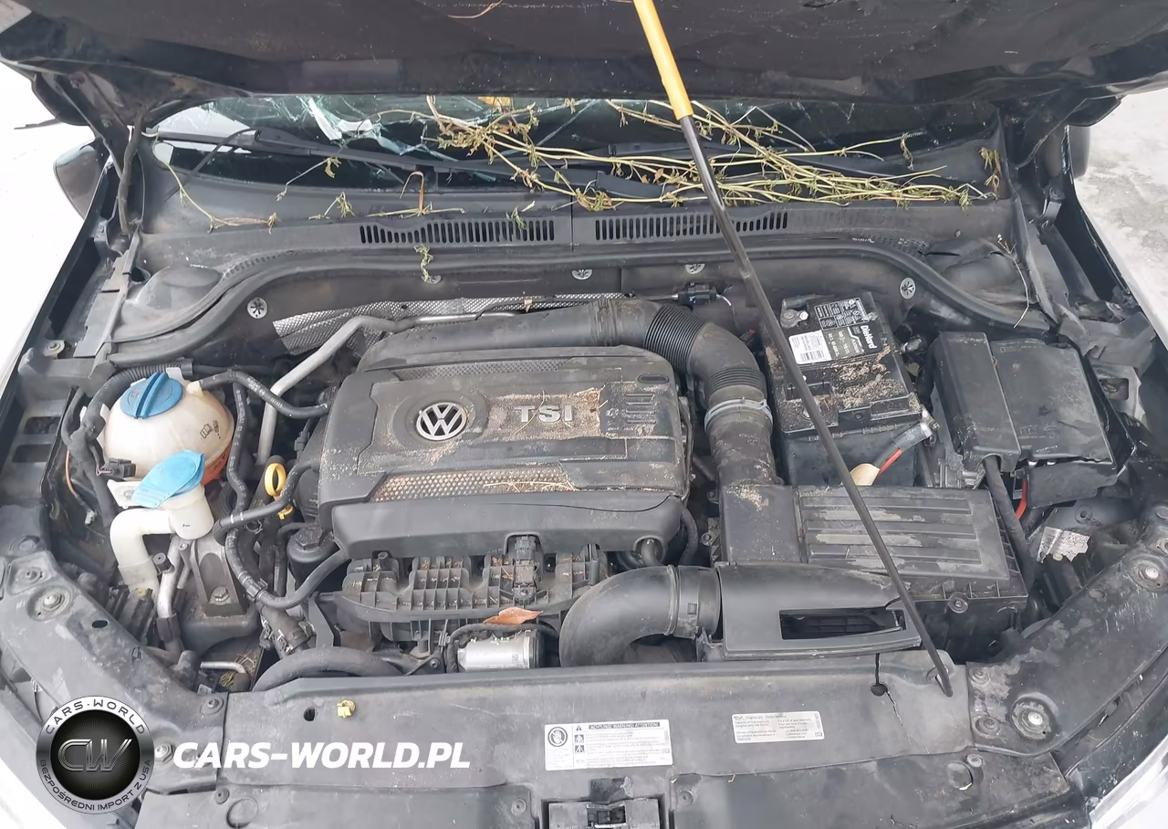 2016 Volkswagen Jetta 1.8T Sel VIN:3VWL07AJ2GM217065 - 10