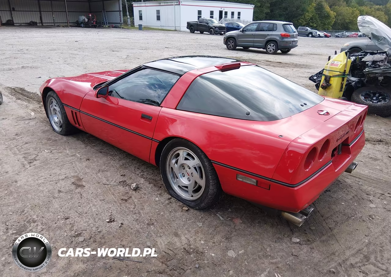 1990 Chevrolet Corvette VIN:1G1YY2387L5105515 - 3