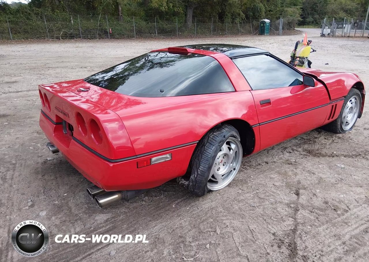 1990 Chevrolet Corvette VIN:1G1YY2387L5105515 - 4