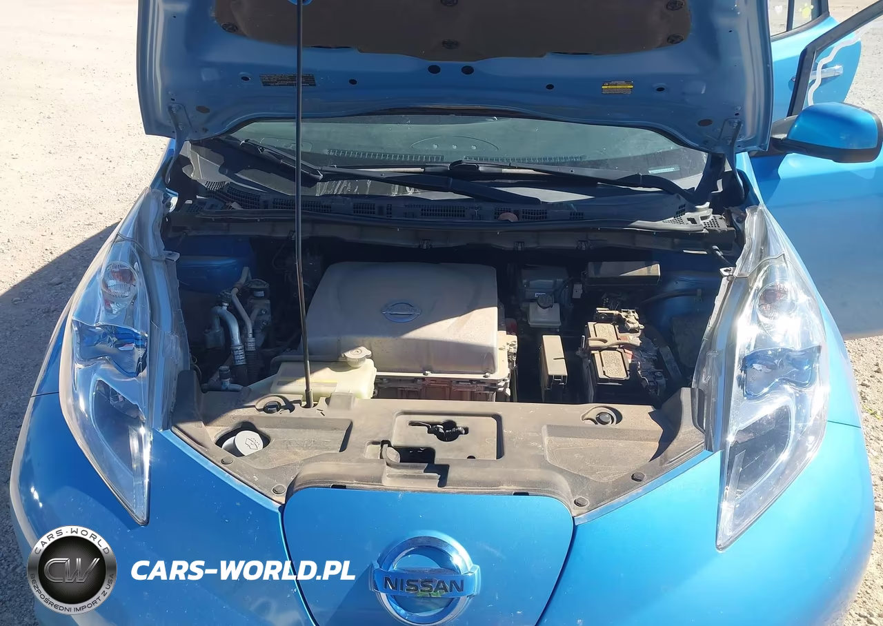 2013 Nissan Leaf Sv VIN:1N4AZ0CP9DC412060 - 10