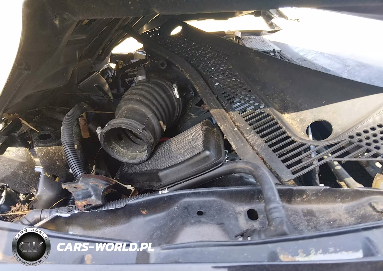 2009 Ford Focus Ses VIN:1FAHP33N69W253119 - 10