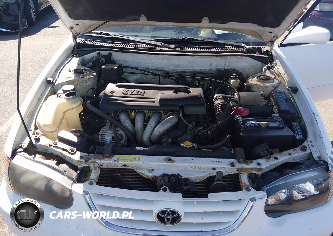 2001 Toyota Corolla S VIN:1NXBR12E31Z517554 - 10