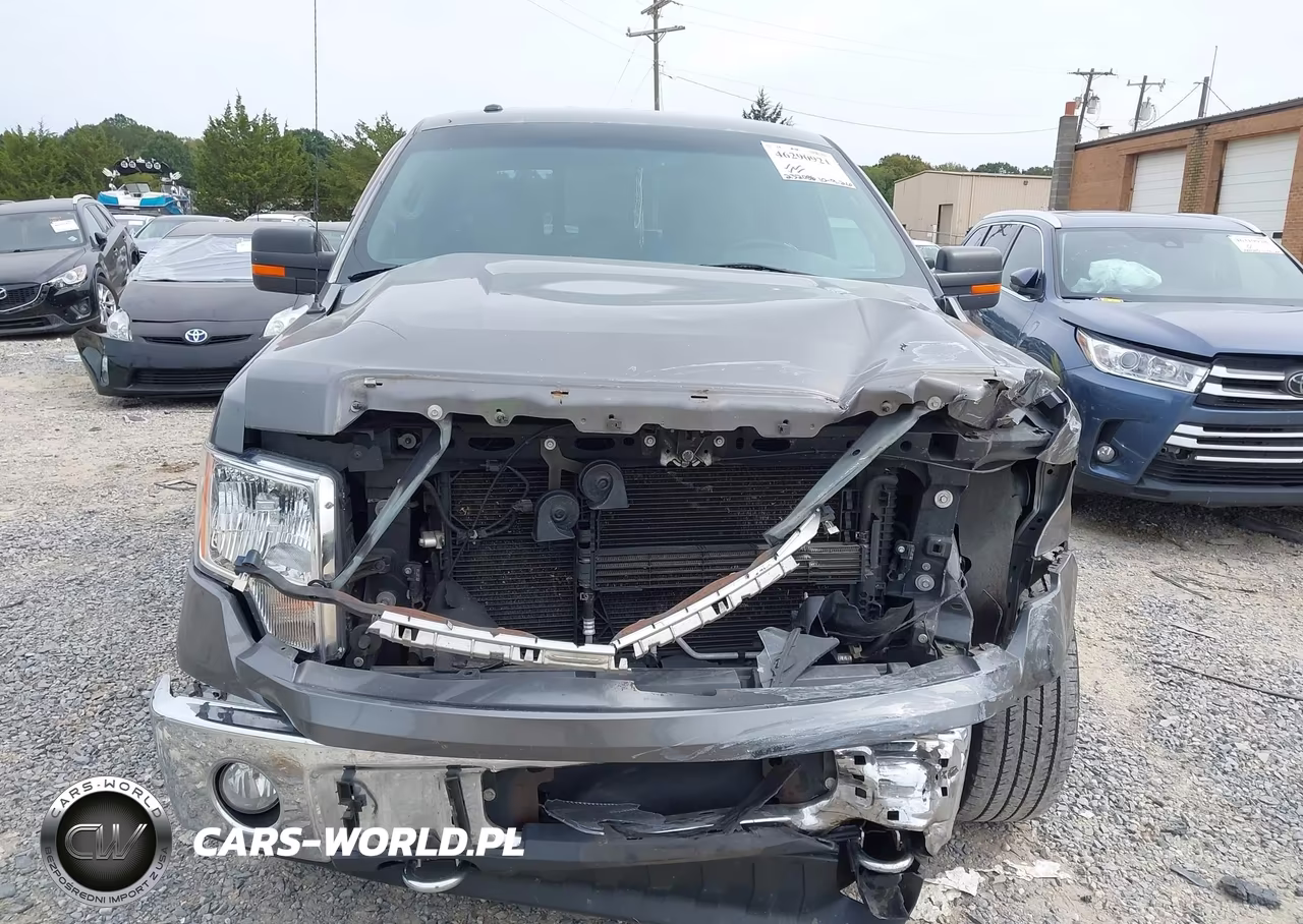 2013 Ford F-150 Xlt VIN:1FTFW1EF4DFD61990 - 12