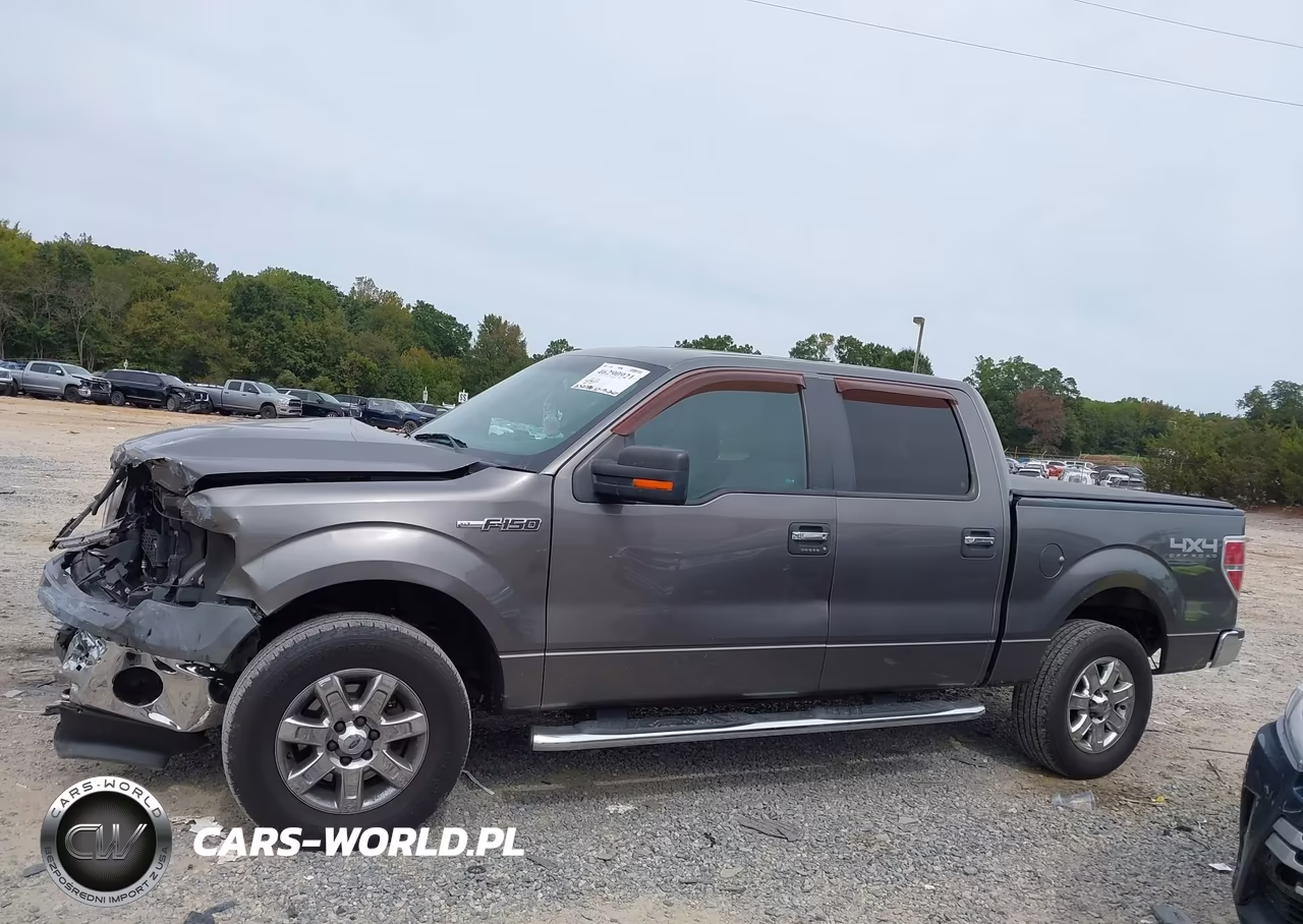 2013 Ford F-150 Xlt VIN:1FTFW1EF4DFD61990 - 14