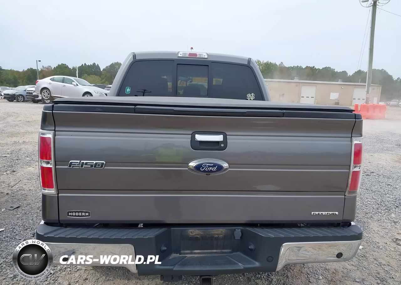 2013 Ford F-150 Xlt VIN:1FTFW1EF4DFD61990 - 16