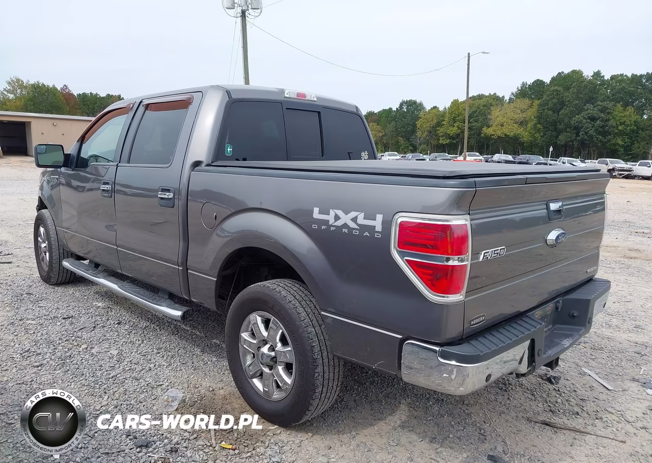 2013 Ford F-150 Xlt VIN:1FTFW1EF4DFD61990 - 3