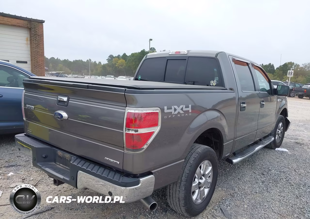 2013 Ford F-150 Xlt VIN:1FTFW1EF4DFD61990 - 4