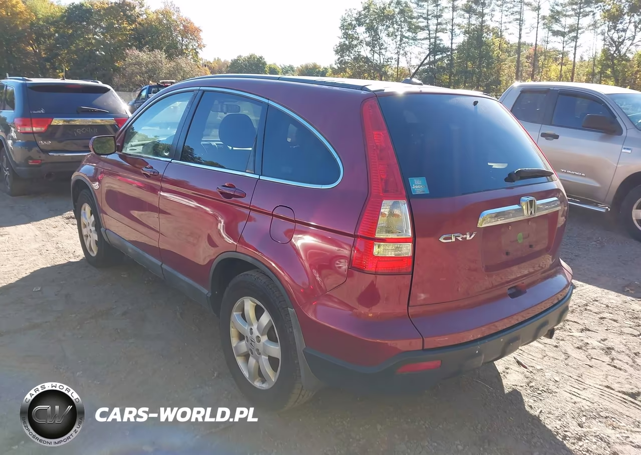 2009 Honda Cr-V Ex-L VIN:5J6RE48749L066994 - 3