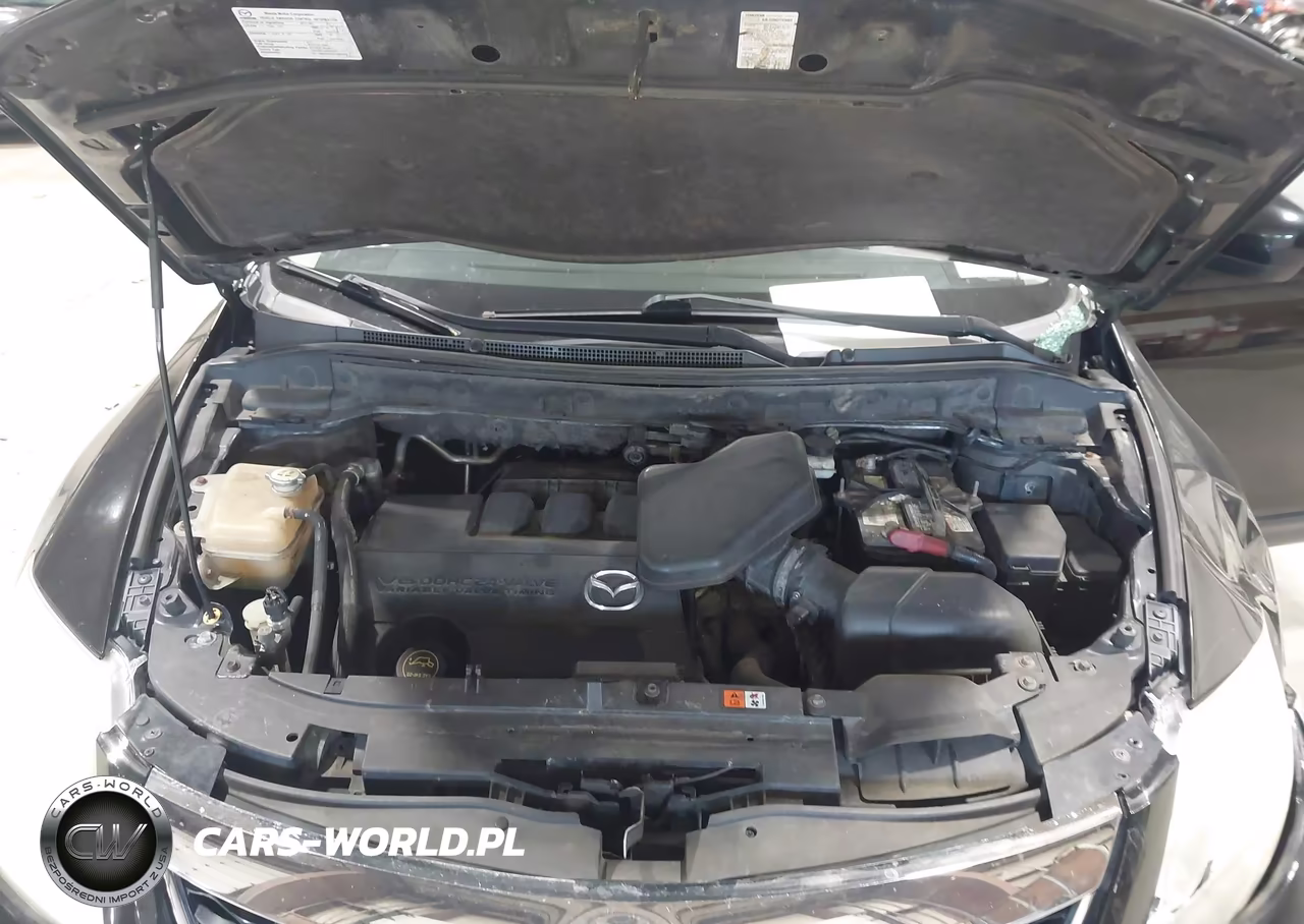 2011 Mazda Cx-9 Sport VIN:JM3TB3BV0B0307986 - 10