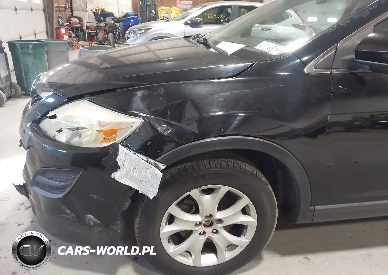 2011 Mazda Cx-9 Sport VIN:JM3TB3BV0B0307986 - 12