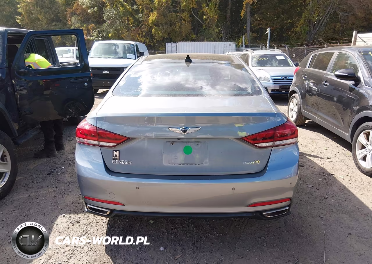 2015 Hyundai Genesis 3.8 VIN:KMHGN4JE9FU072992 - 17