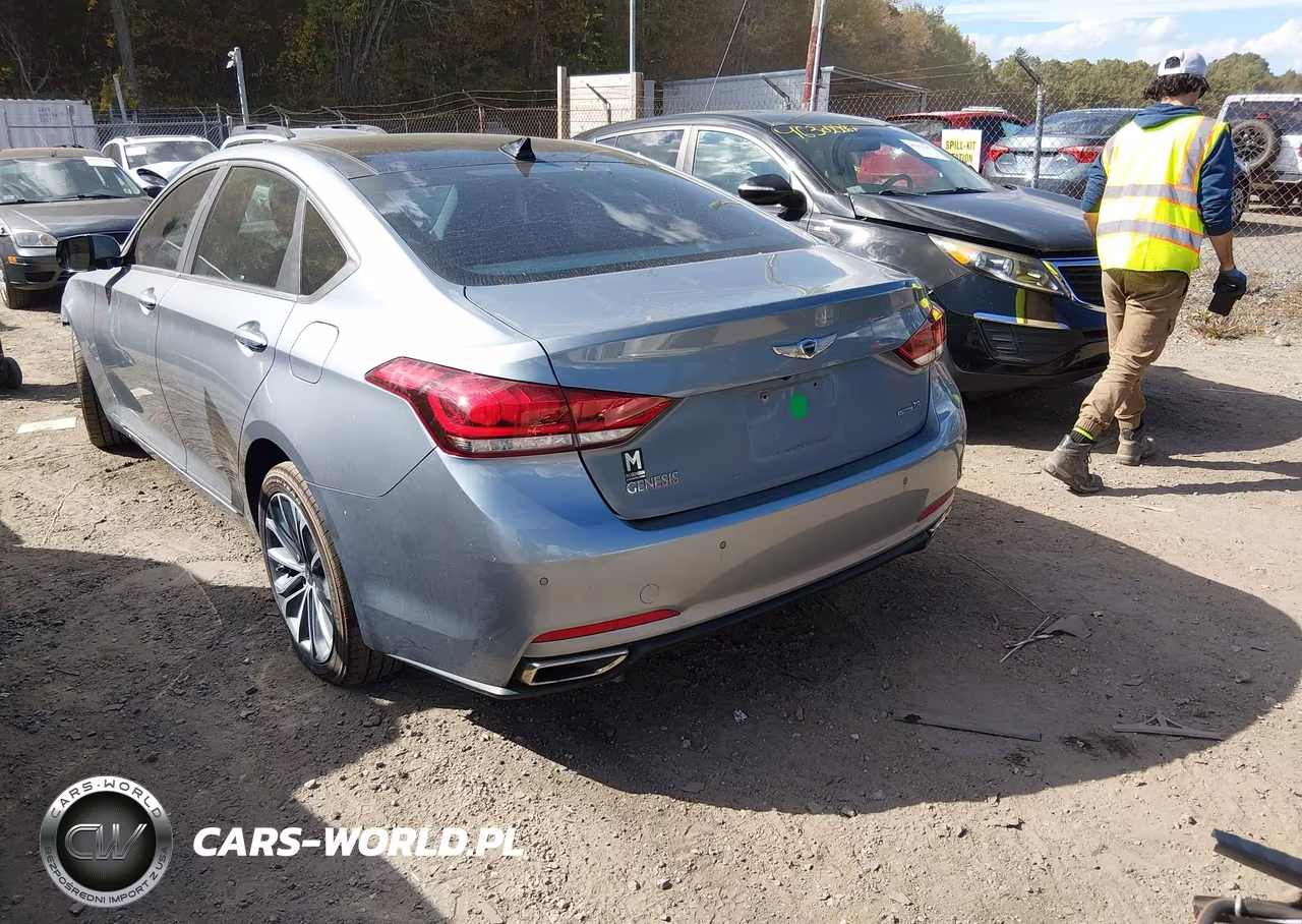 2015 Hyundai Genesis 3.8 VIN:KMHGN4JE9FU072992 - 3