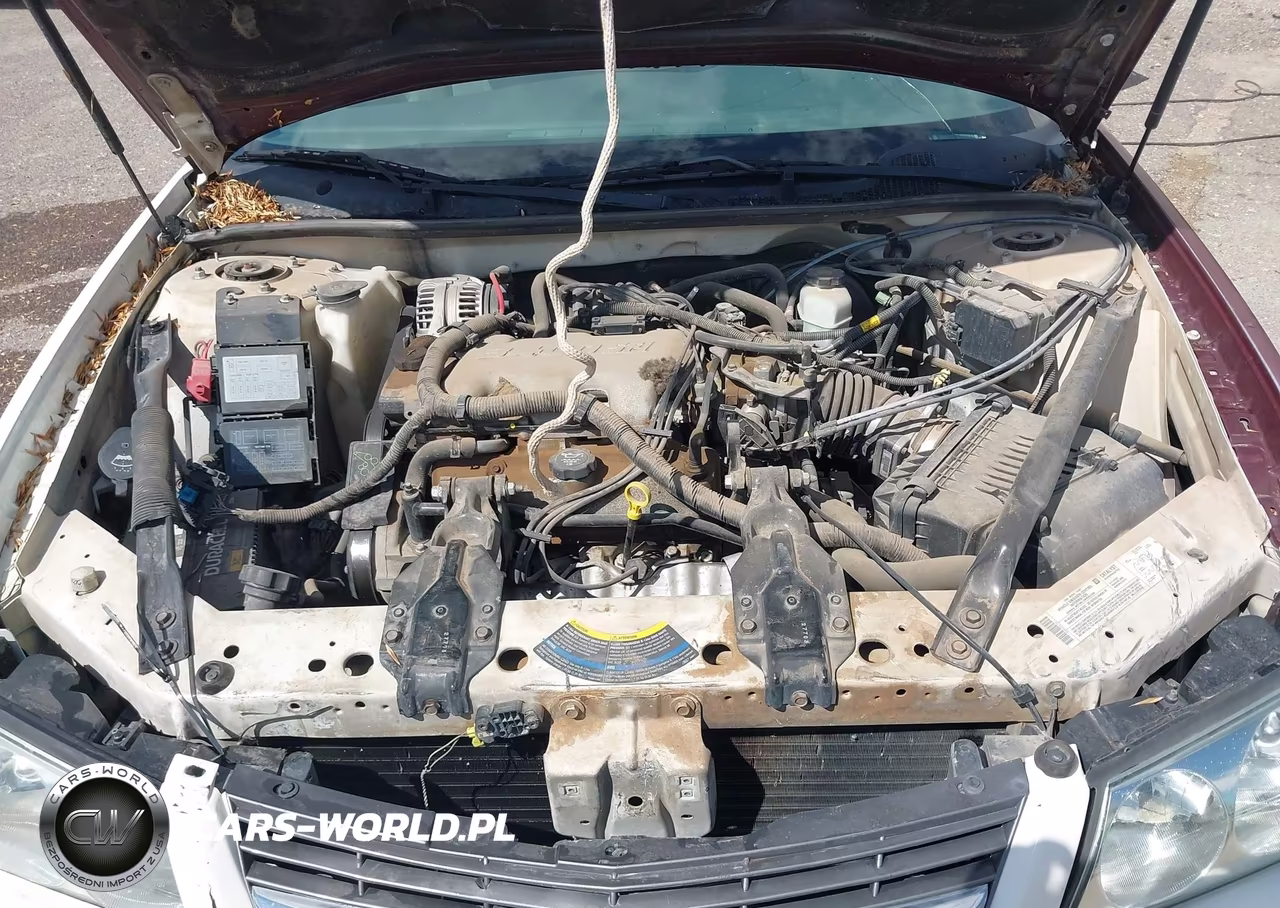 2004 Chevrolet Impala VIN:2G1WF52E349216315 - 10