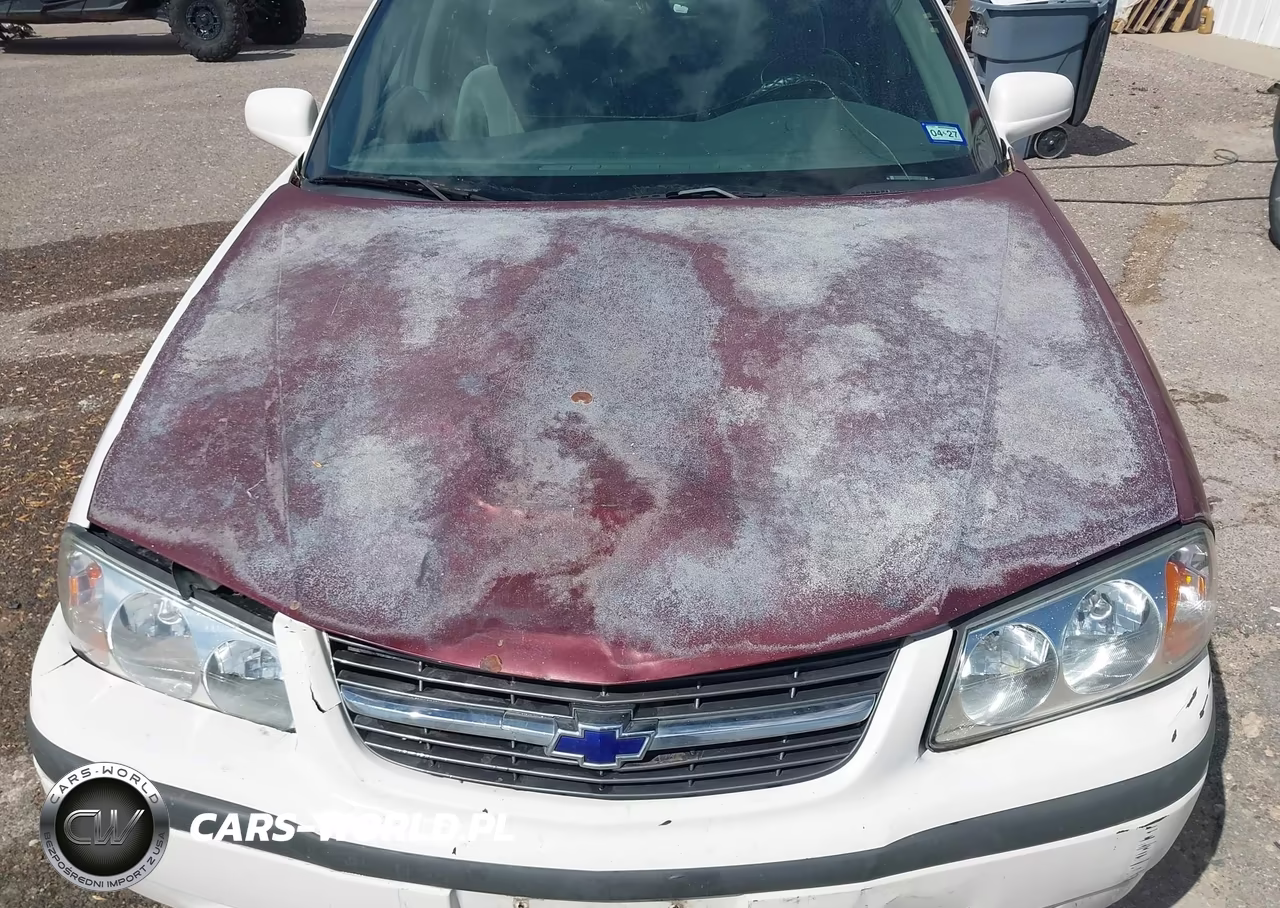 2004 Chevrolet Impala VIN:2G1WF52E349216315 - 6
