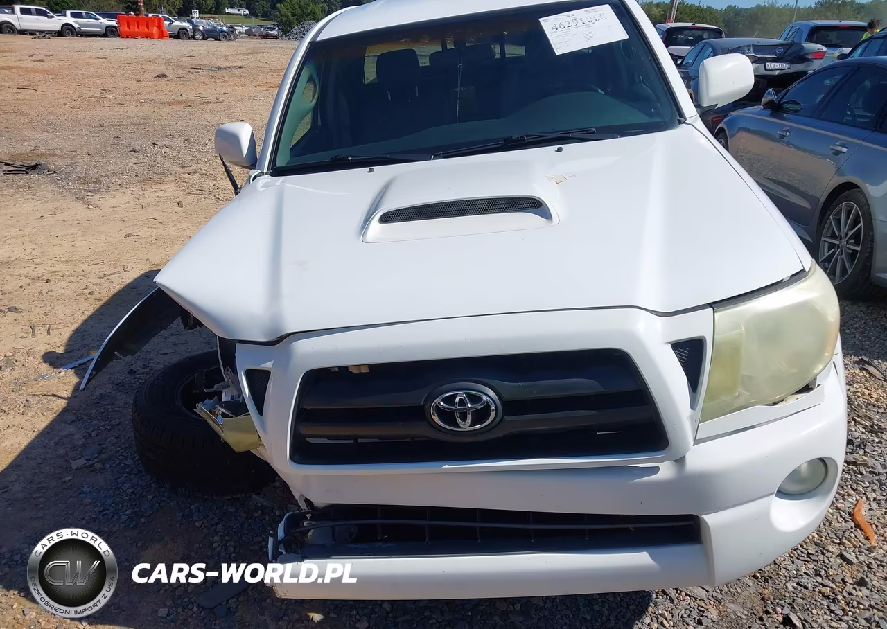 2006 Toyota Tacoma Base V6 VIN:5TEUU42N66Z317277 - 6