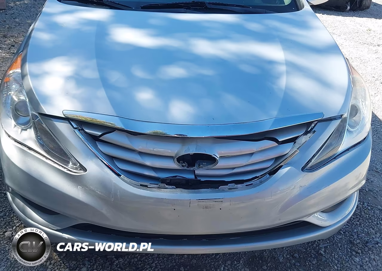 2013 Hyundai Sonata Gls VIN:5NPEB4ACXDH757612 - 6