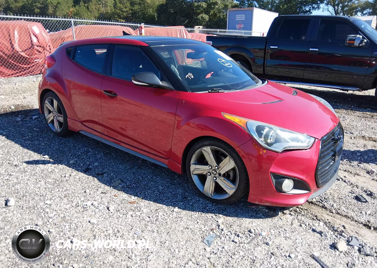 2013 Hyundai Veloster Turbo W-Black VIN:KMHTC6AEXDU095789 - 1