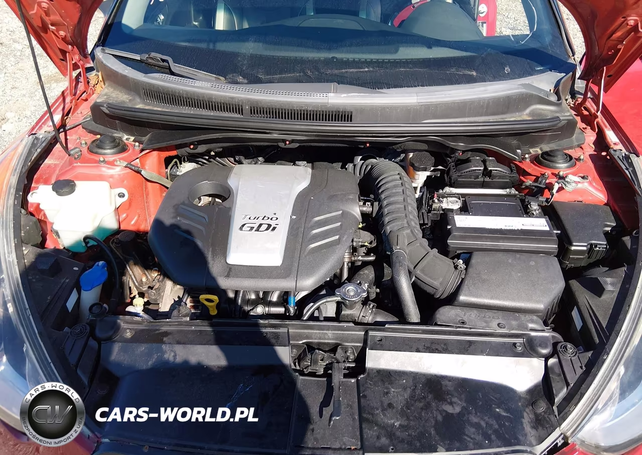 2013 Hyundai Veloster Turbo W-Black VIN:KMHTC6AEXDU095789 - 10
