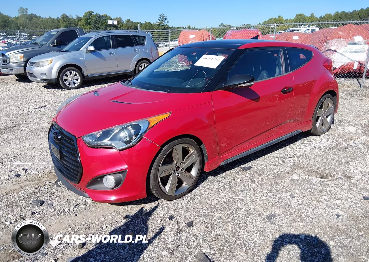 2013 Hyundai Veloster Turbo W-Black VIN:KMHTC6AEXDU095789 - 2
