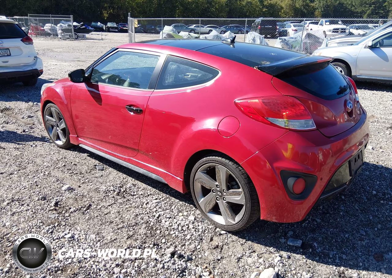 2013 Hyundai Veloster Turbo W-Black VIN:KMHTC6AEXDU095789 - 3