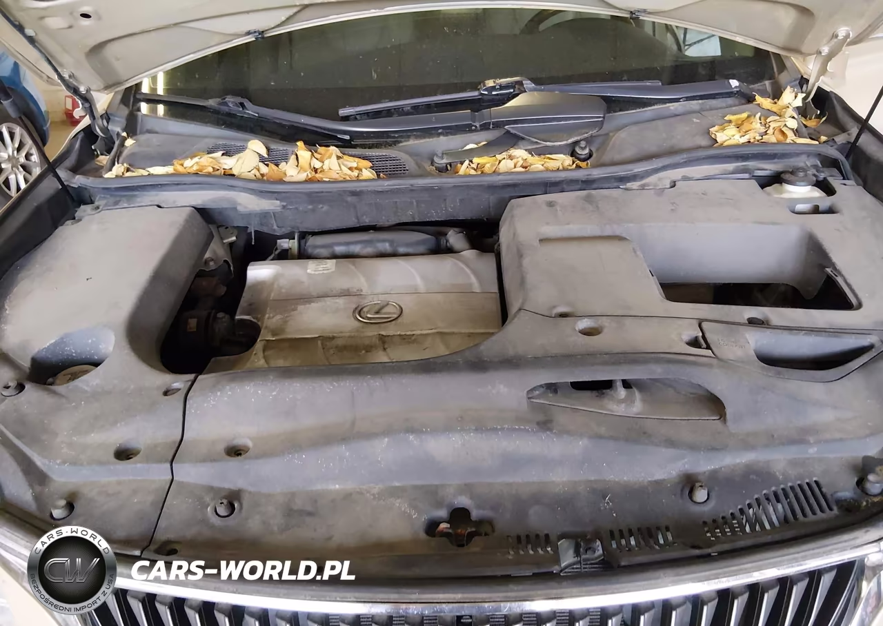 2010 Lexus Rx 350 VIN:2T2BK1BA2AC056765 - 10