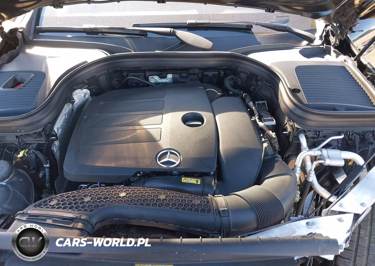 2020 Mercedes-Benz Glc 300 4Matic VIN:W1N0G8EB9LF819054 - 10