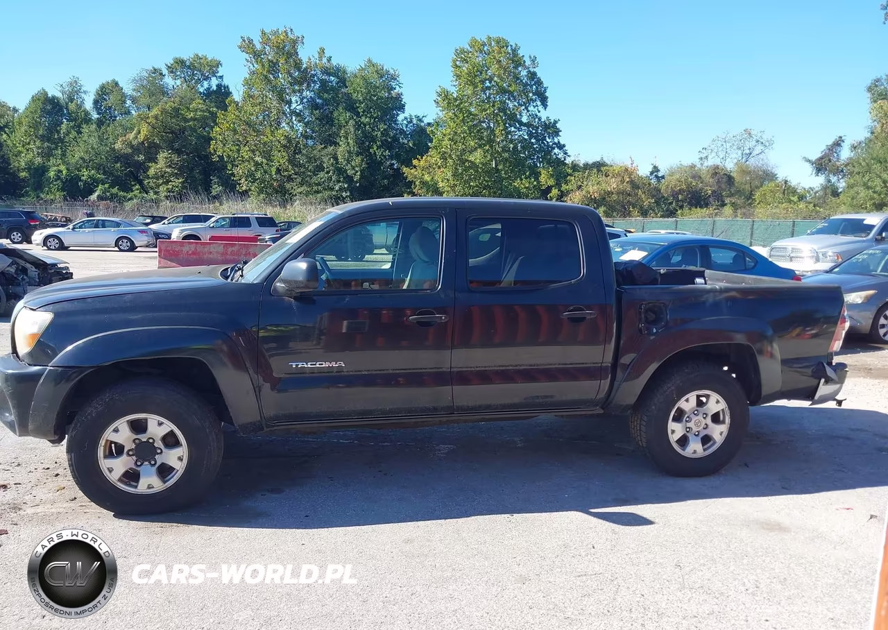 2009 Toyota Tacoma Base V6 VIN:3TMLU42N59M031434 - 15