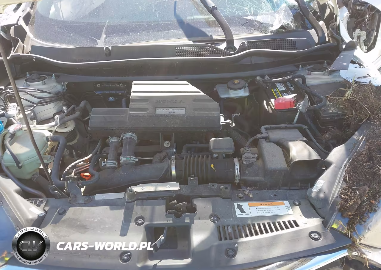 2017 Honda Cr-V Ex-L-Ex-L Navi VIN:2HKRW2H85HH619784 - 10