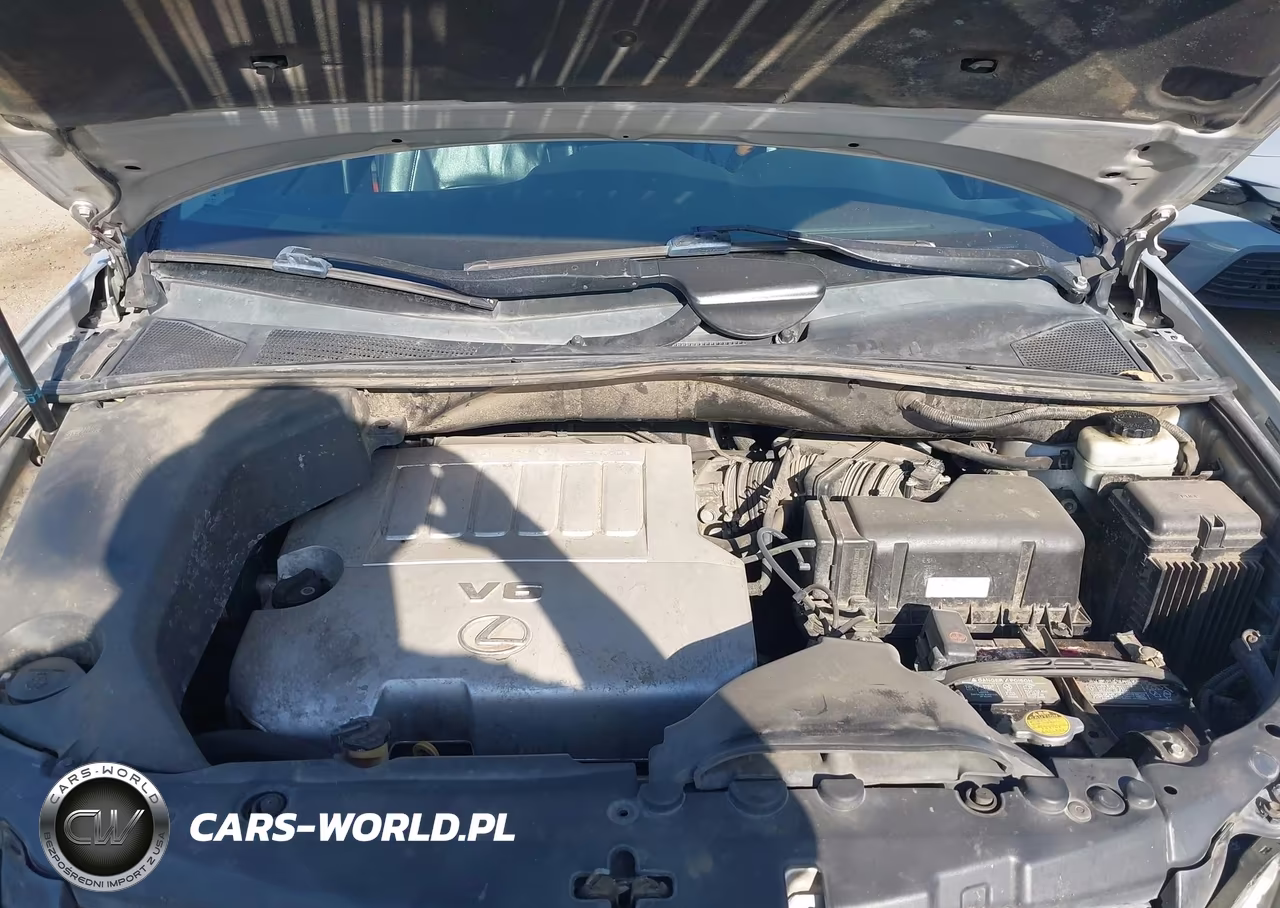 2009 Lexus Rx 350 VIN:2T2GK31U19C065238 - 10
