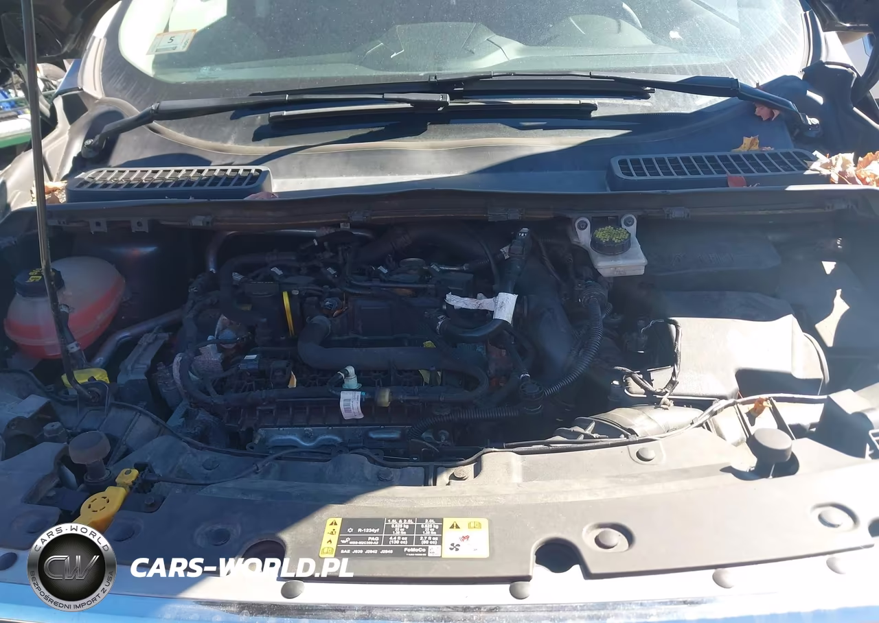2019 Ford Escape Se VIN:1FMCU9GD0KUB90663 - 10