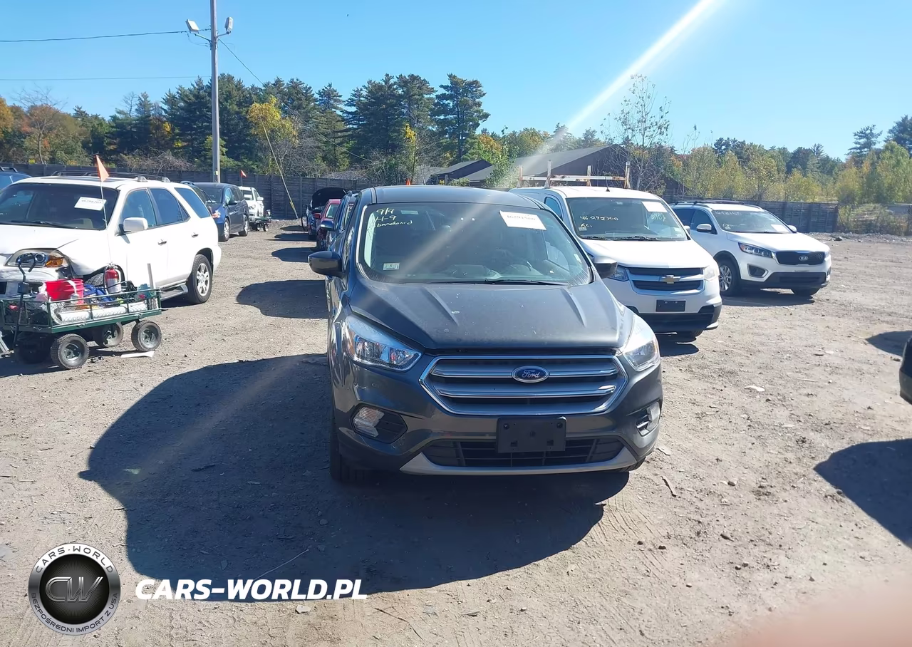 2019 Ford Escape Se VIN:1FMCU9GD0KUB90663 - 12