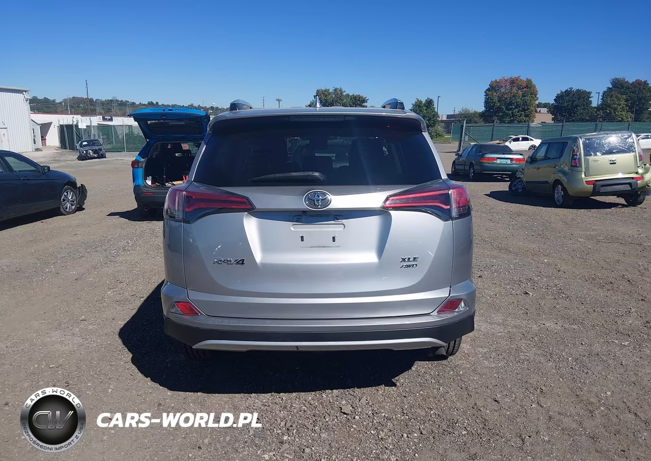 2016 Toyota Rav4 Xle VIN:2T3RFREV7GW430564 - 16