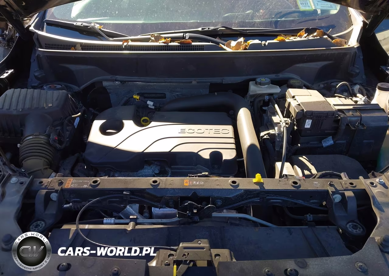 2024 GMC Terrain Awd Slt VIN:3GKALVEG8RL378537 - 10