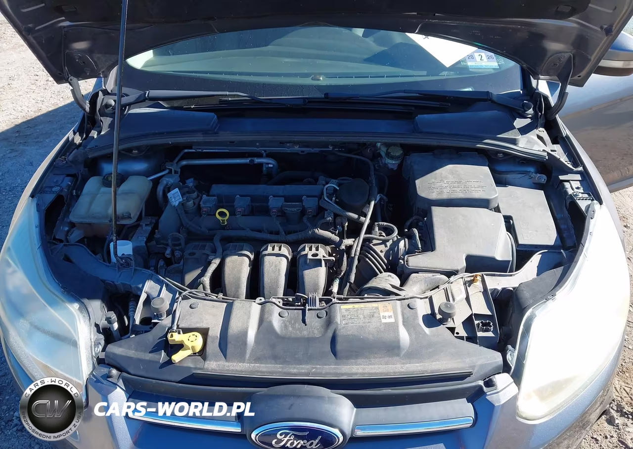 2014 Ford Focus Se VIN:1FADP3F23EL219828 - 10