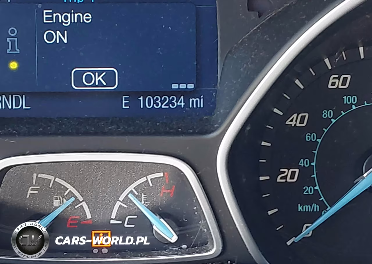 2014 Ford Focus Se VIN:1FADP3F23EL219828 - 12