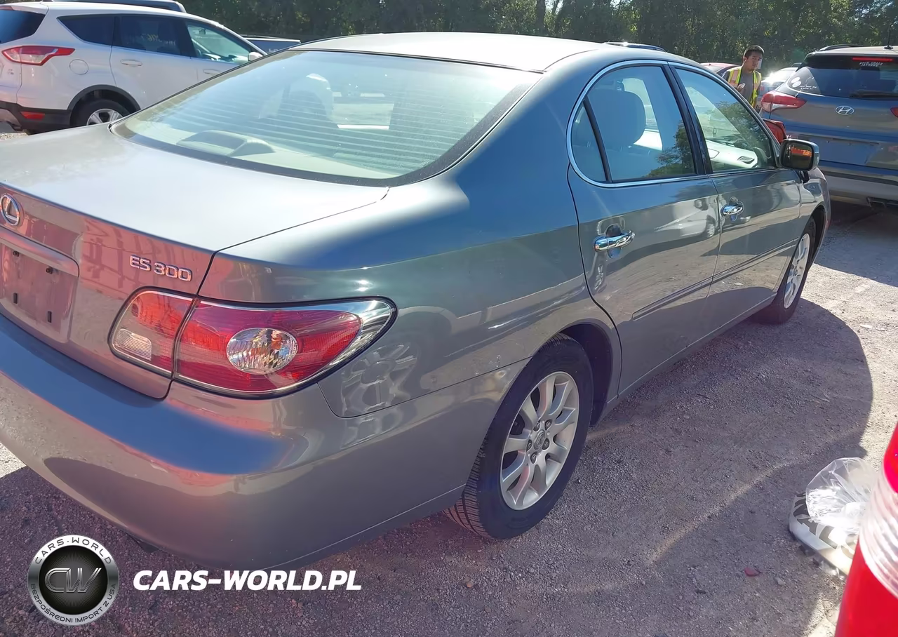 2002 Lexus Es 300 VIN:JTHBF30G320026700 - 4