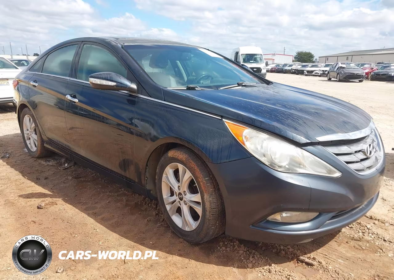 2011 Hyundai Sonata Limited VIN:5NPEC4AC5BH013166 - 1