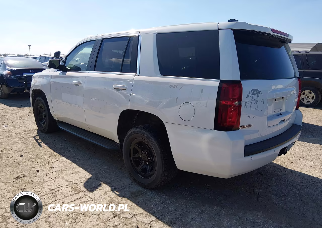 2018 Chevrolet Tahoe Commercial Fleet VIN:1GNLCDECXJR233337 - 3