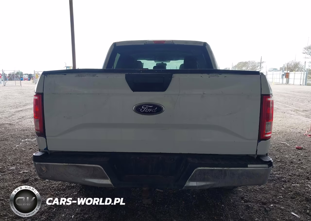 2016 Ford F-150 Xlt VIN:1FTEW1C86GFA16299 - 16