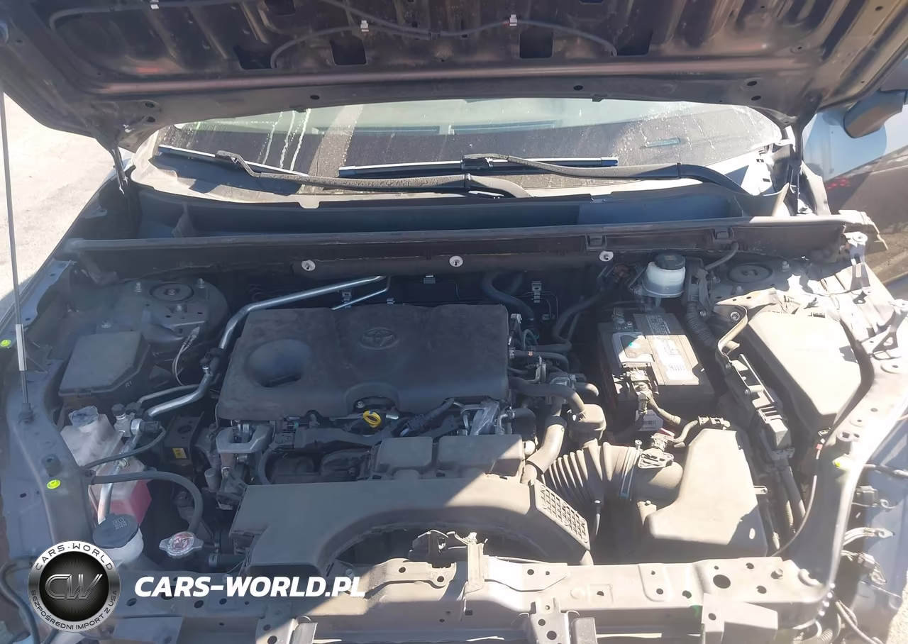 2019 Toyota Rav4 Le VIN:JTMH1RFV7KJ006365 - 10