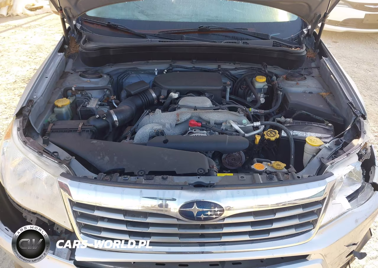 2010 Subaru Forester 2.5X Limited VIN:JF2SH6DC9AH767987 - 10