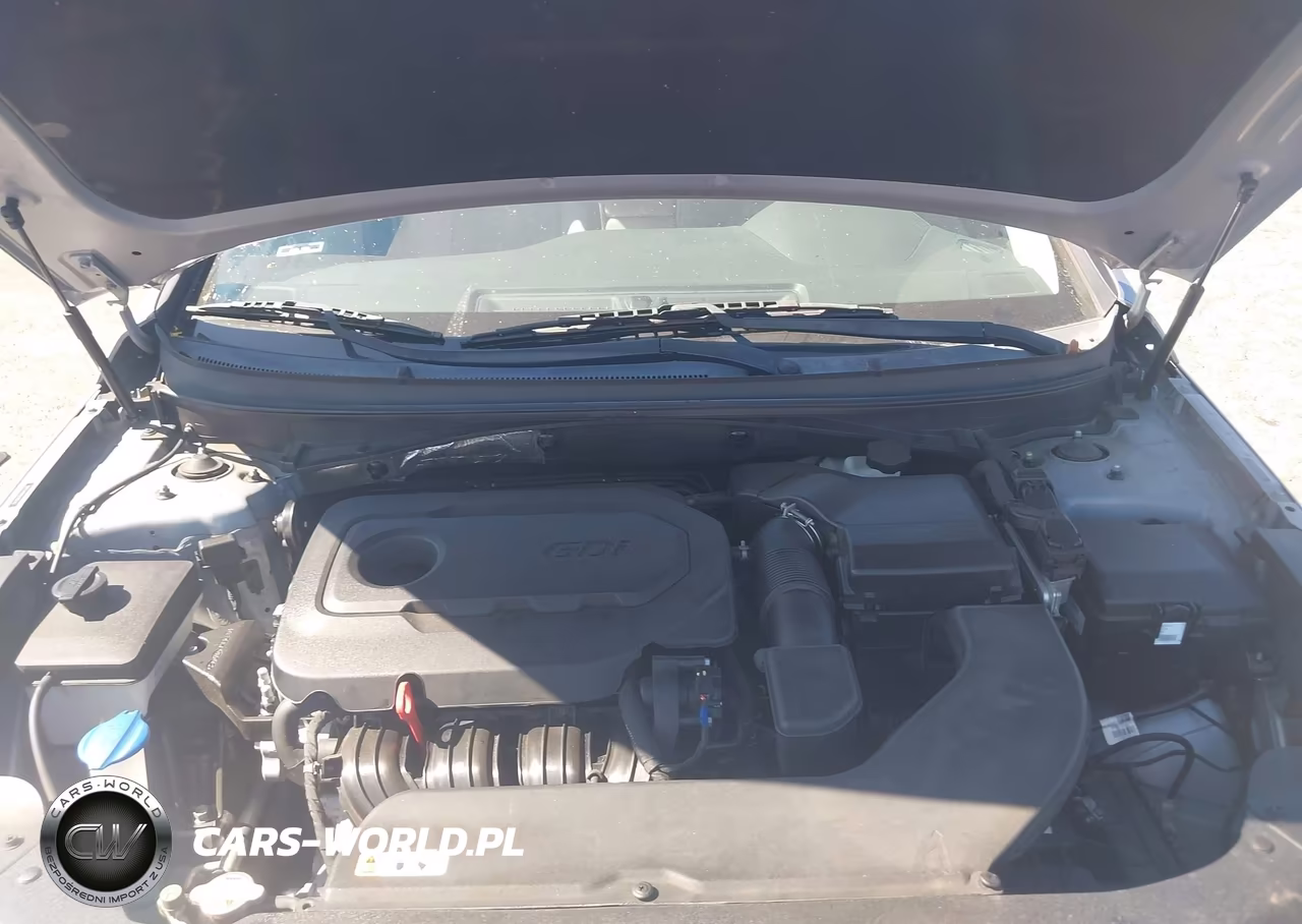 2016 Hyundai Sonata Sport VIN:5NPE34AF6GH396343 - 10