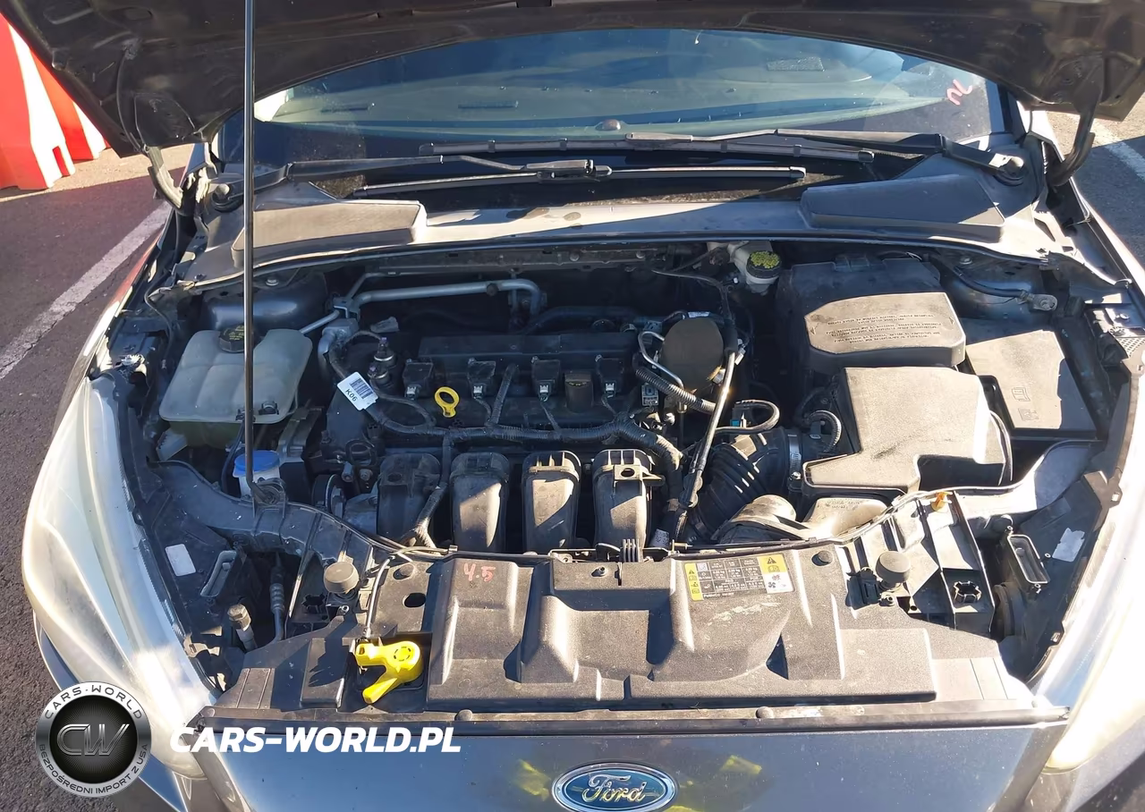 2015 Ford Focus Se VIN:1FADP3F25FL341639 - 10